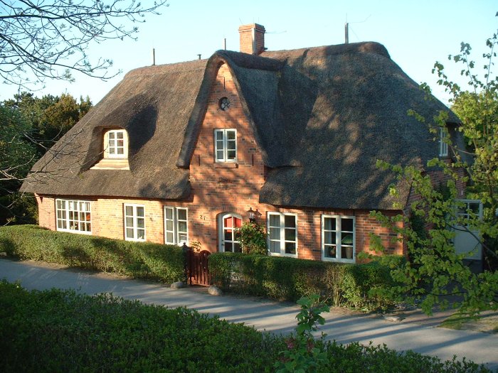 amrum6