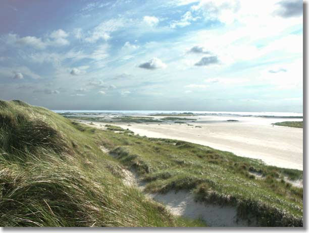 amrum8