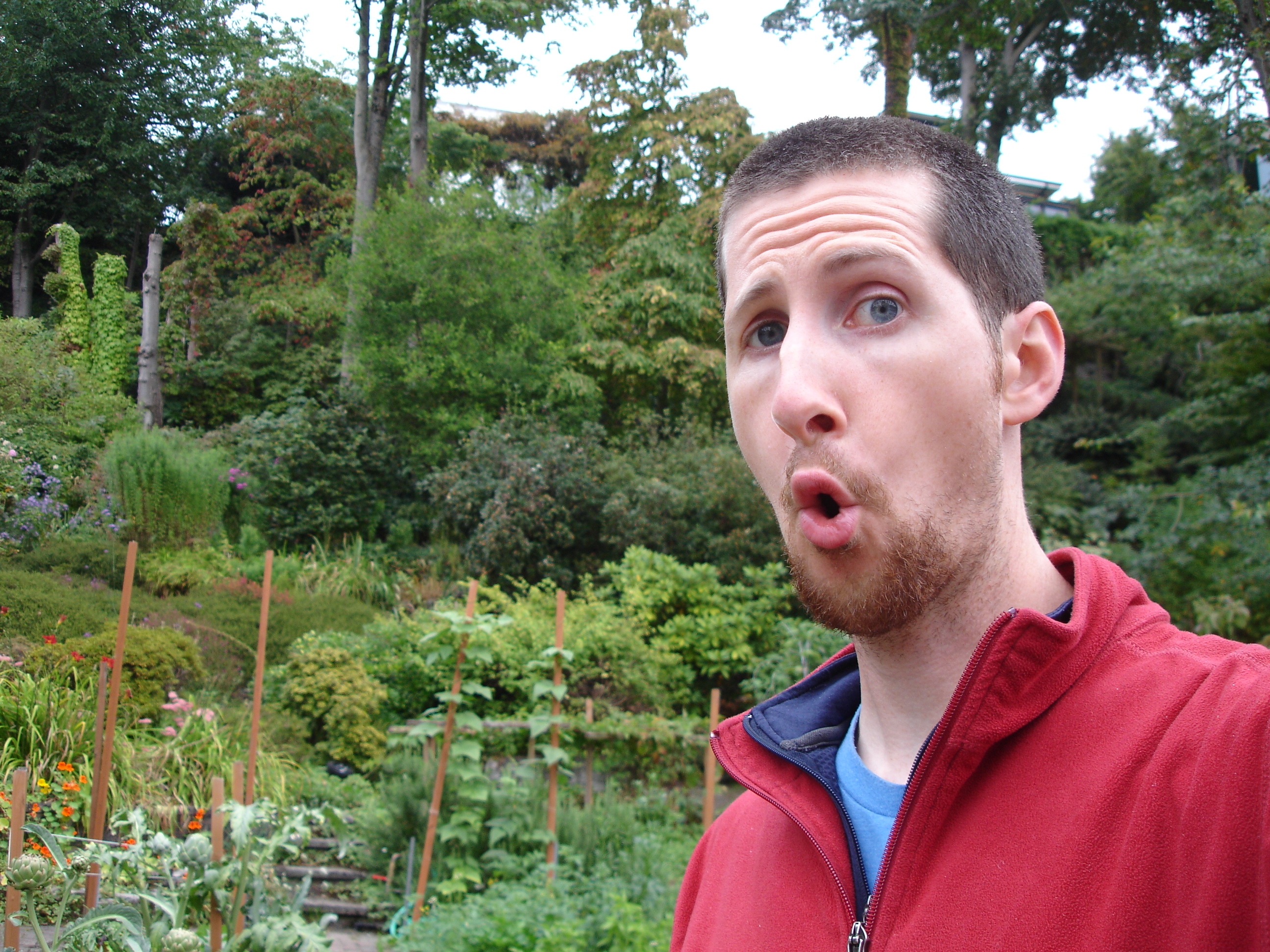 Shocking True Story: How I Lost 12 Pounds in 12 Months!