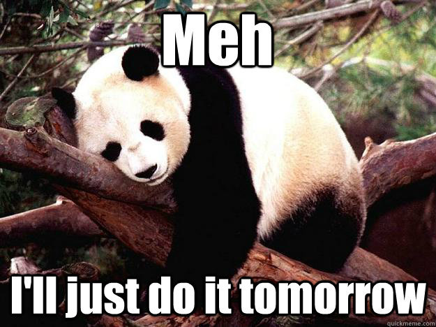 Lazy panda