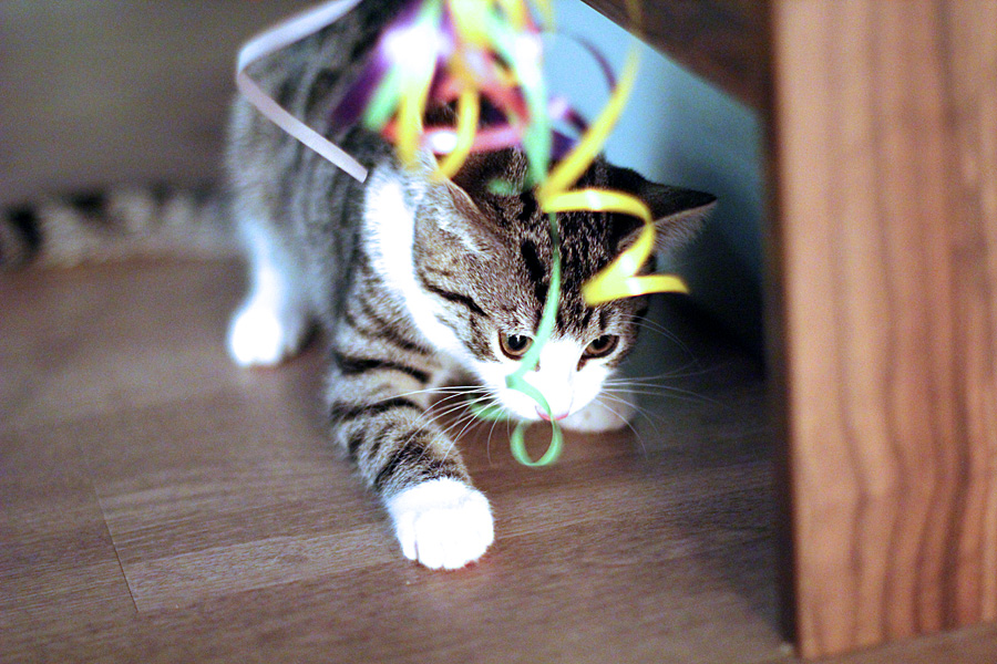 02Dec15Mimi5