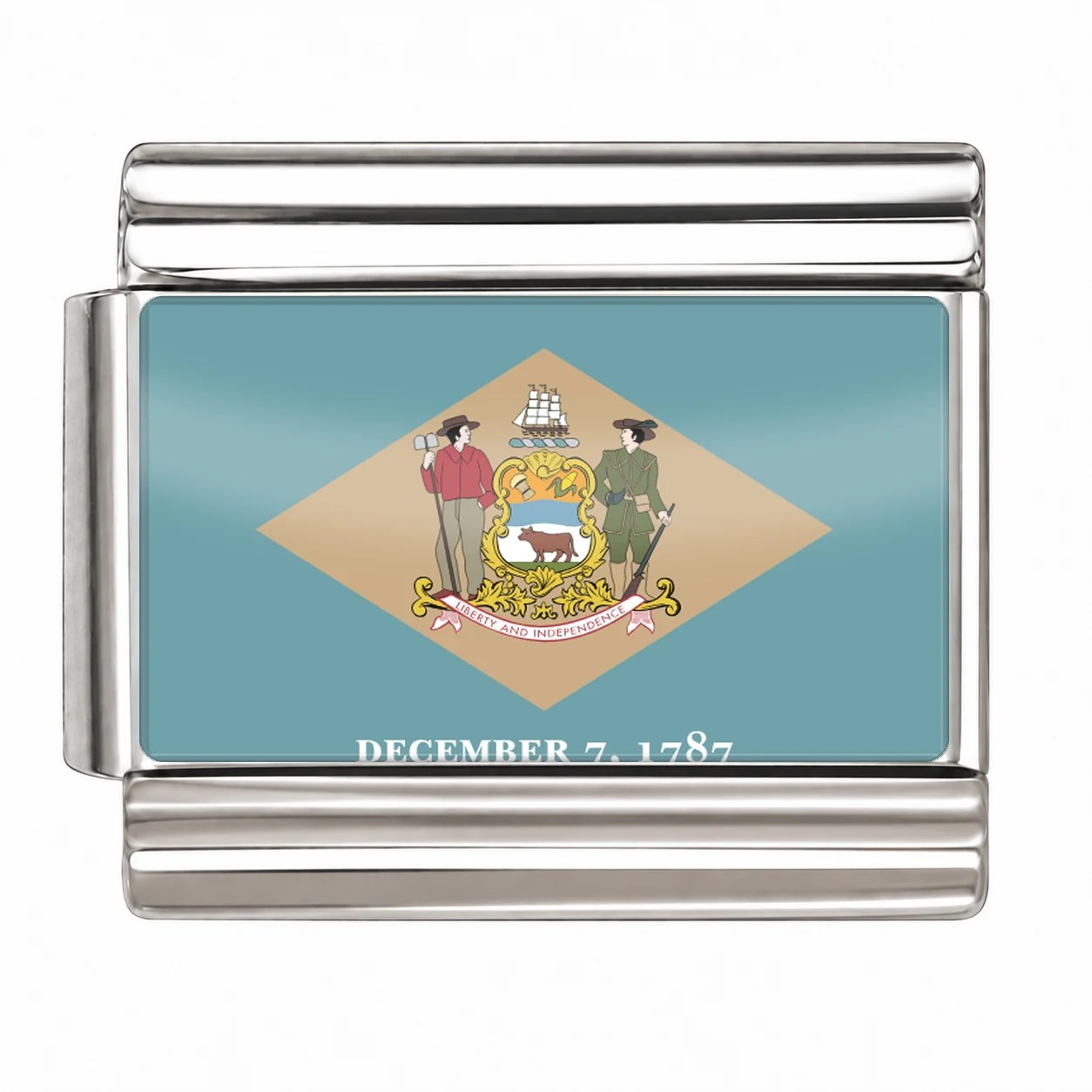 Delaware State Flag for - Silver
