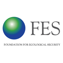 FES