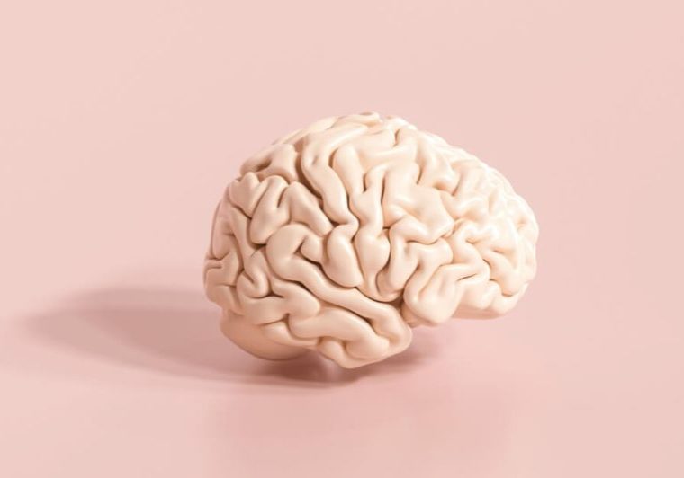 How does methylation affect brain function and the effectiveness of