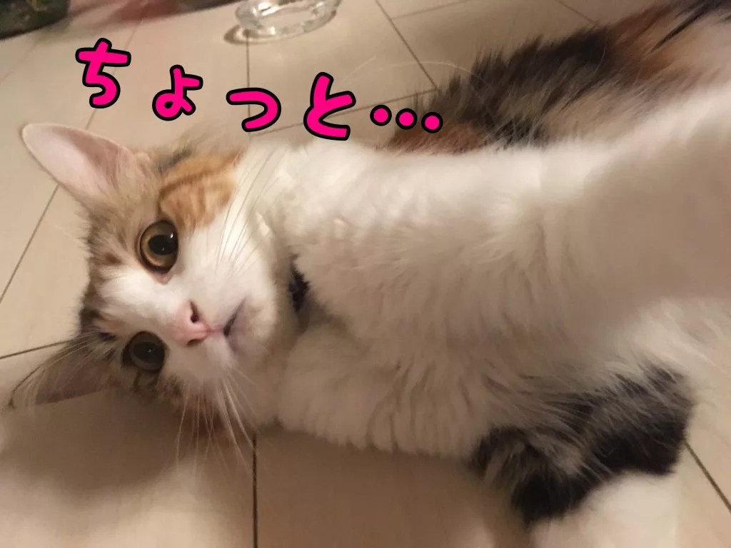 なぎさんのお食事シーン！！
