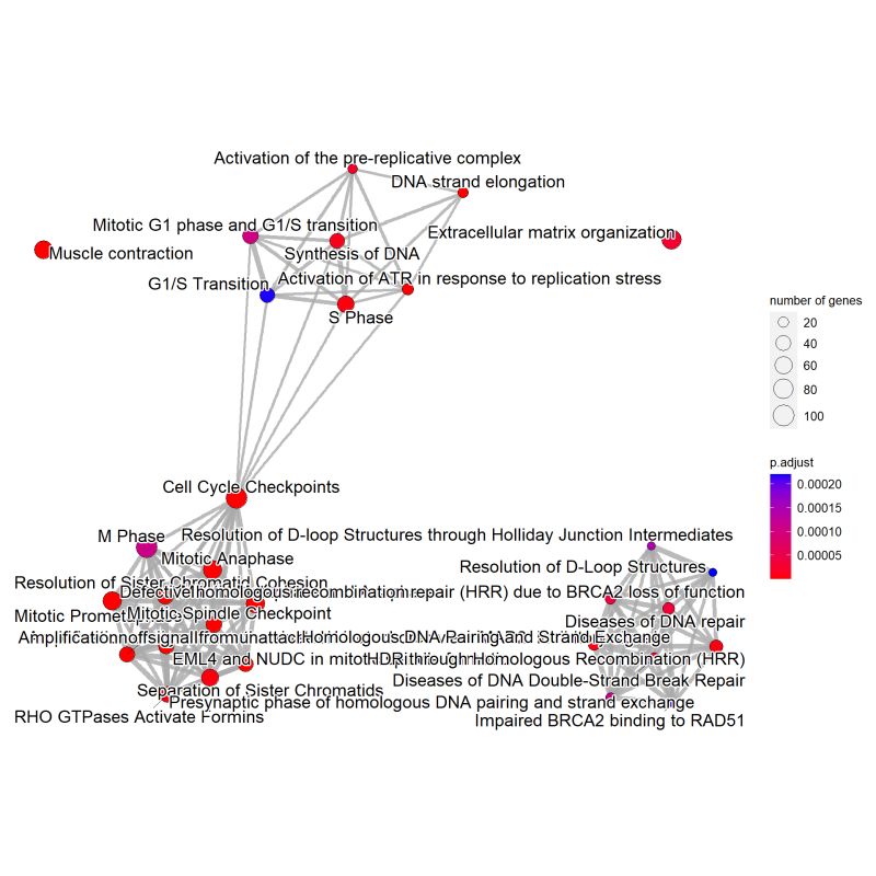 Github Noriakis Cbnplot Bayesian Network Plot For The Enrichment - Ultra HD Colorful Photos for Desktop