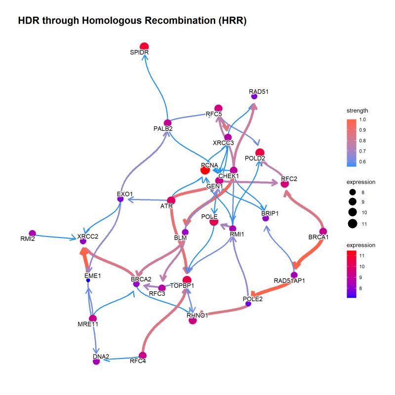 Chapter 3 Bngeneplot Cbnplot - Download Amazing Mountain Design | Retina