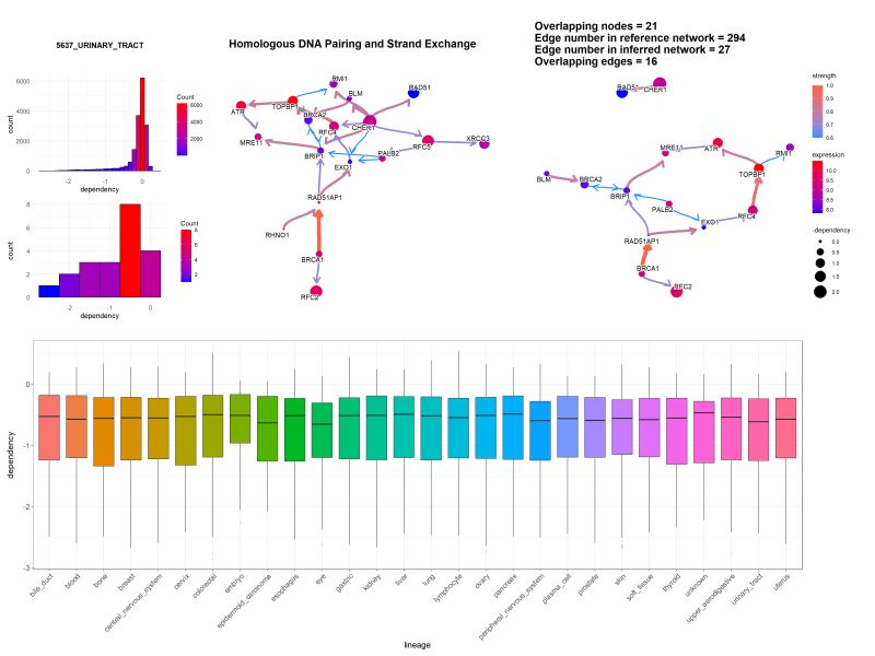 Chapter 3 Bngeneplot Cbnplot - Best Vintage Photos in Ultra HD