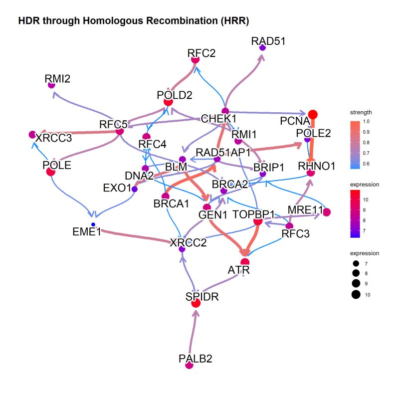 Chapter 3 Bngeneplot Cbnplot - Premium Geometric Pattern Gallery - HD