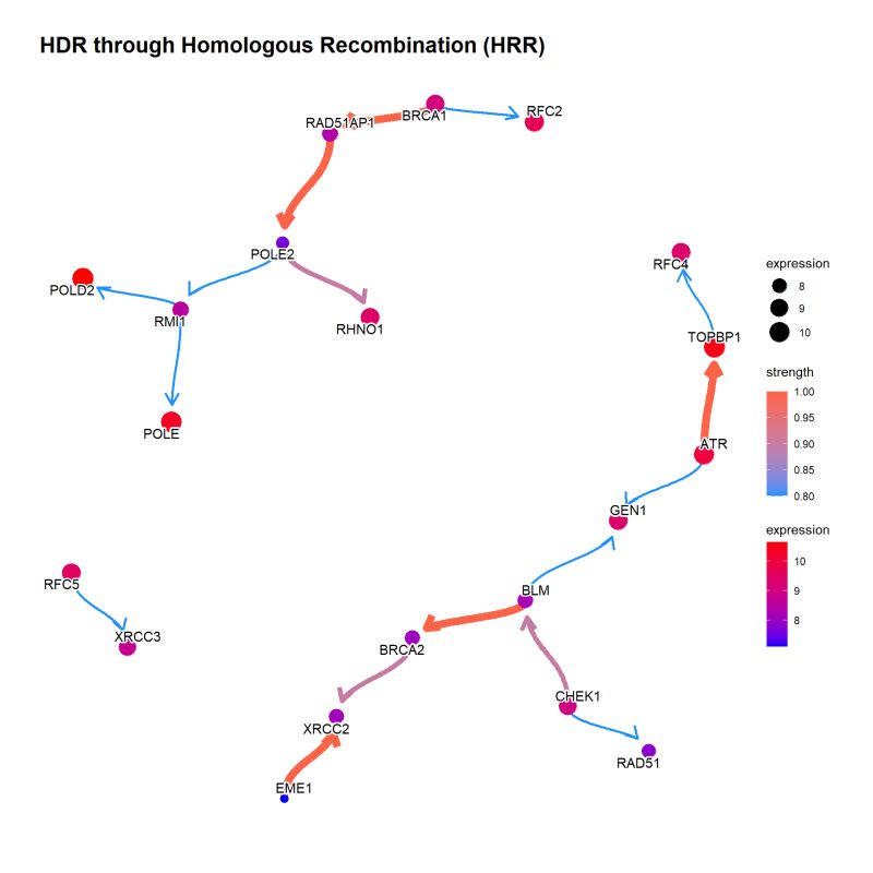 Chapter 3 Bngeneplot Cbnplot - Desktop Vintage Patterns for Desktop