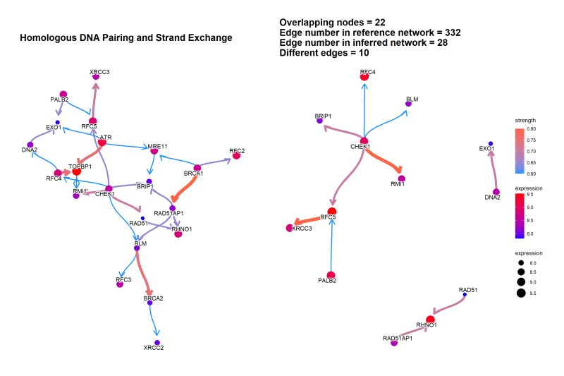 Github Noriakis Cbnplot Bayesian Network Plot For The Enrichment - Gradient Patterns - Modern Desktop Collection