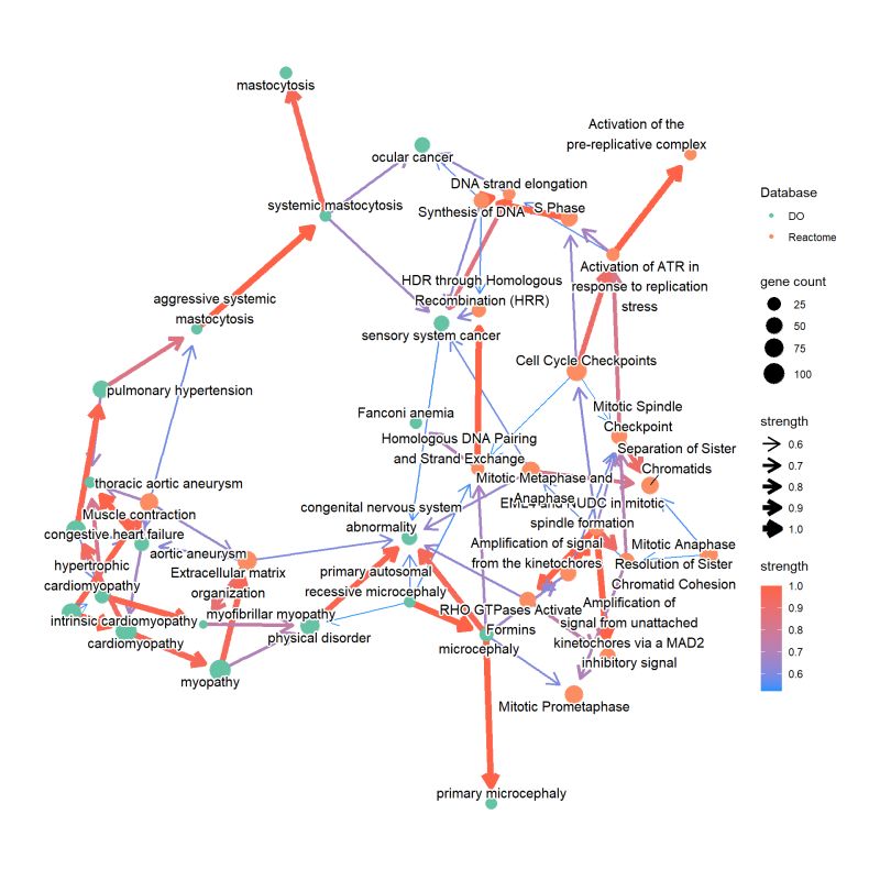 Chapter 4 Bnpathplot Cbnplot - Stunning Dark Pattern - Mobile