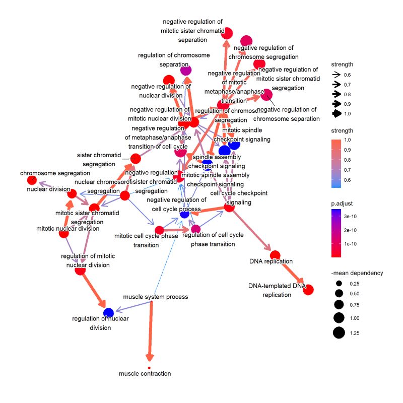 Chapter 4 Bnpathplot Cbnplot - High Quality Minimal Art - High Resolution