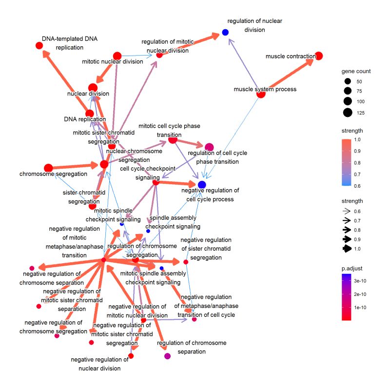 Github Noriakis Cbnplot Bayesian Network Plot For The Enrichment - Download Stunning Landscape Texture | Ultra HD