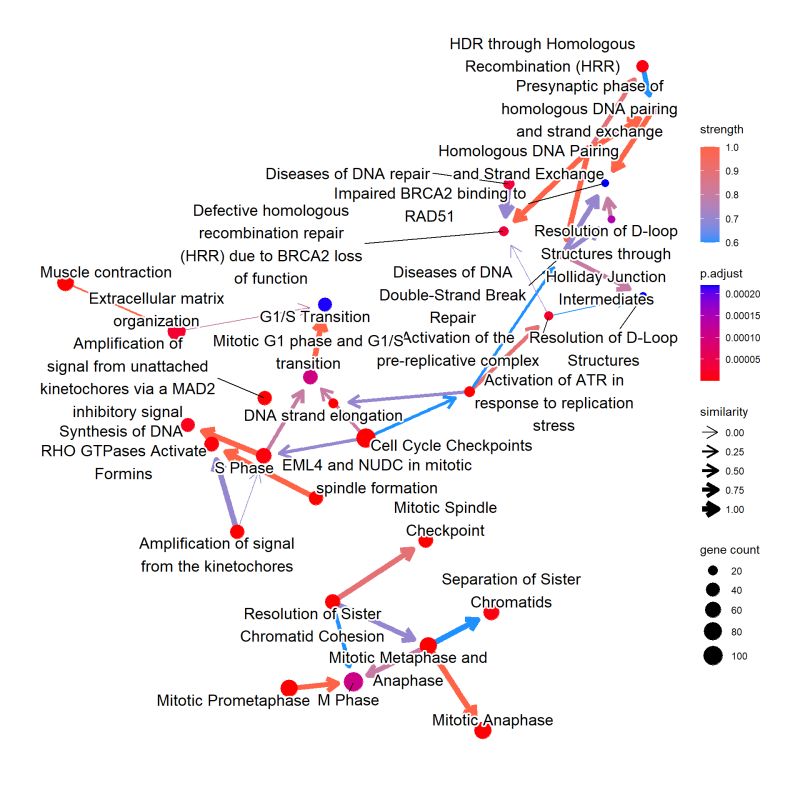 Github Noriakis Cbnplot Bayesian Network Plot For The Enrichment - Light Wallpaper Collection - HD Quality