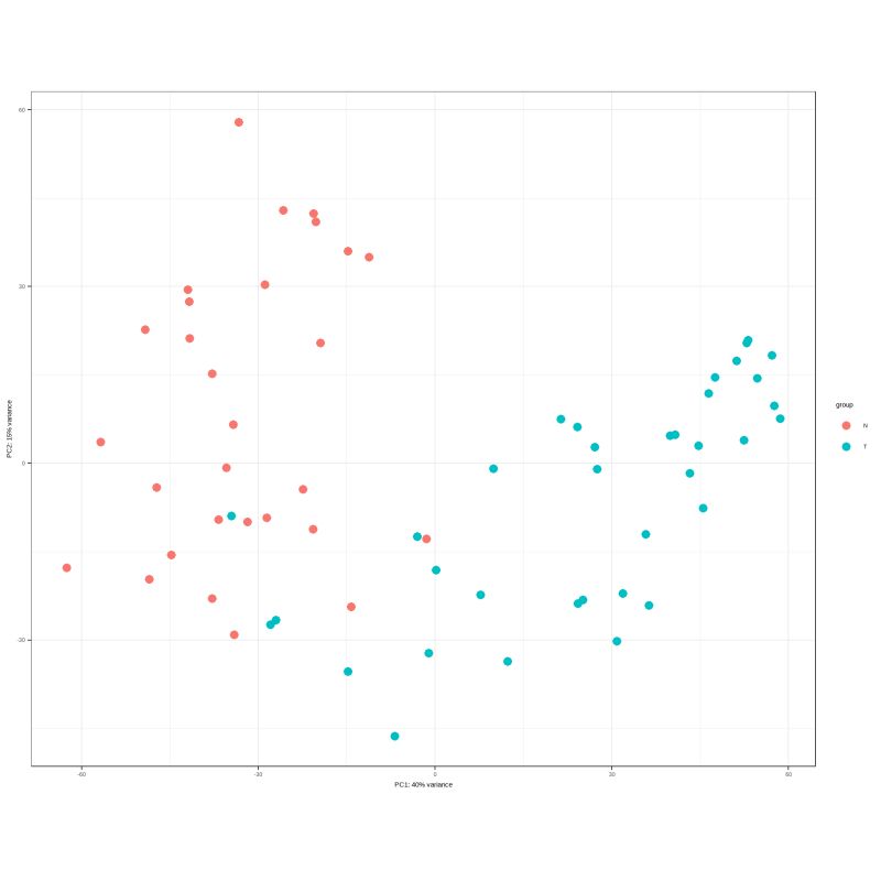 Github Noriakis Cbnplot Bayesian Network Plot For The Enrichment - High Resolution Geometric Textures for Desktop