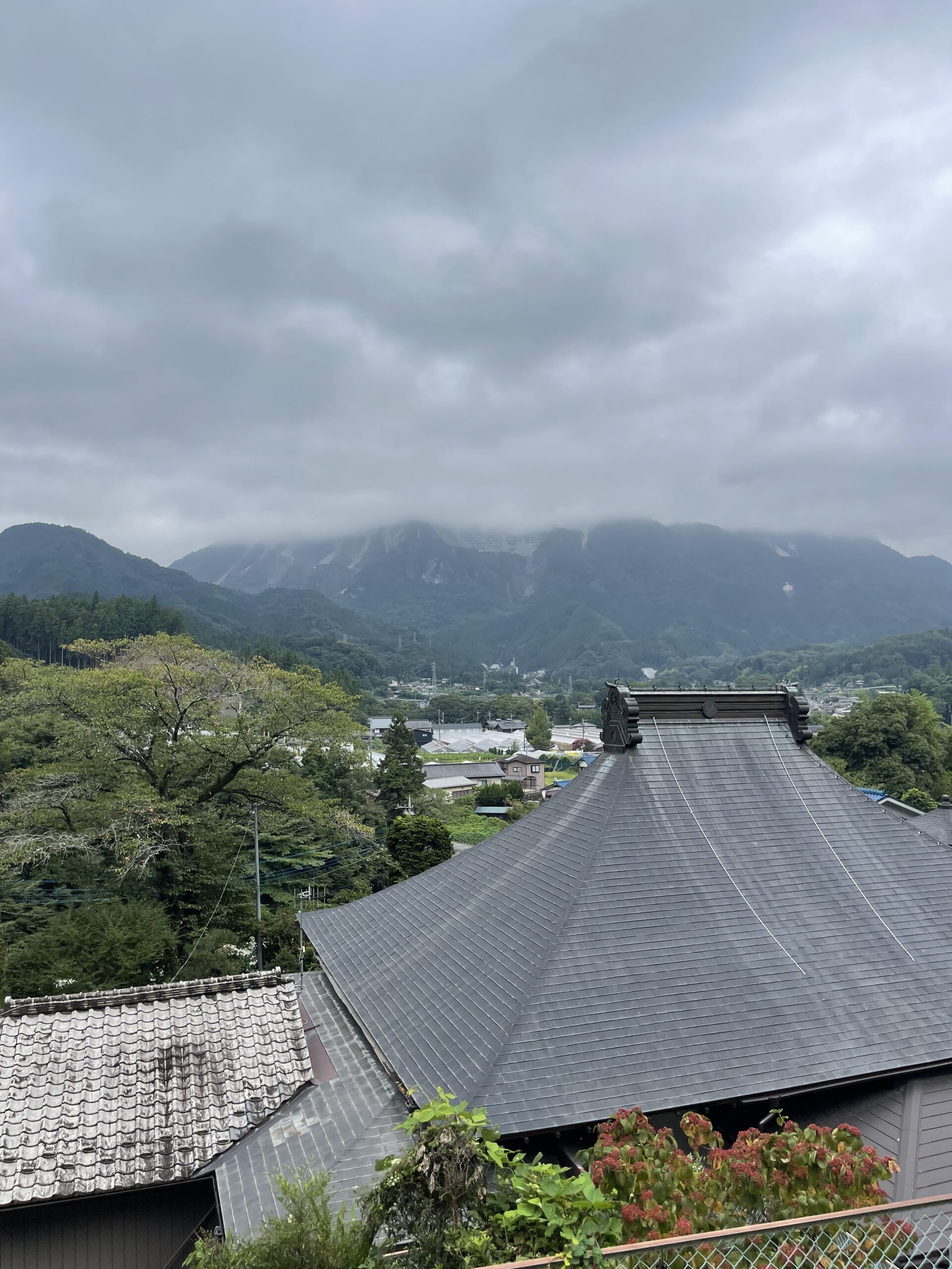 卜雲寺（裏山）