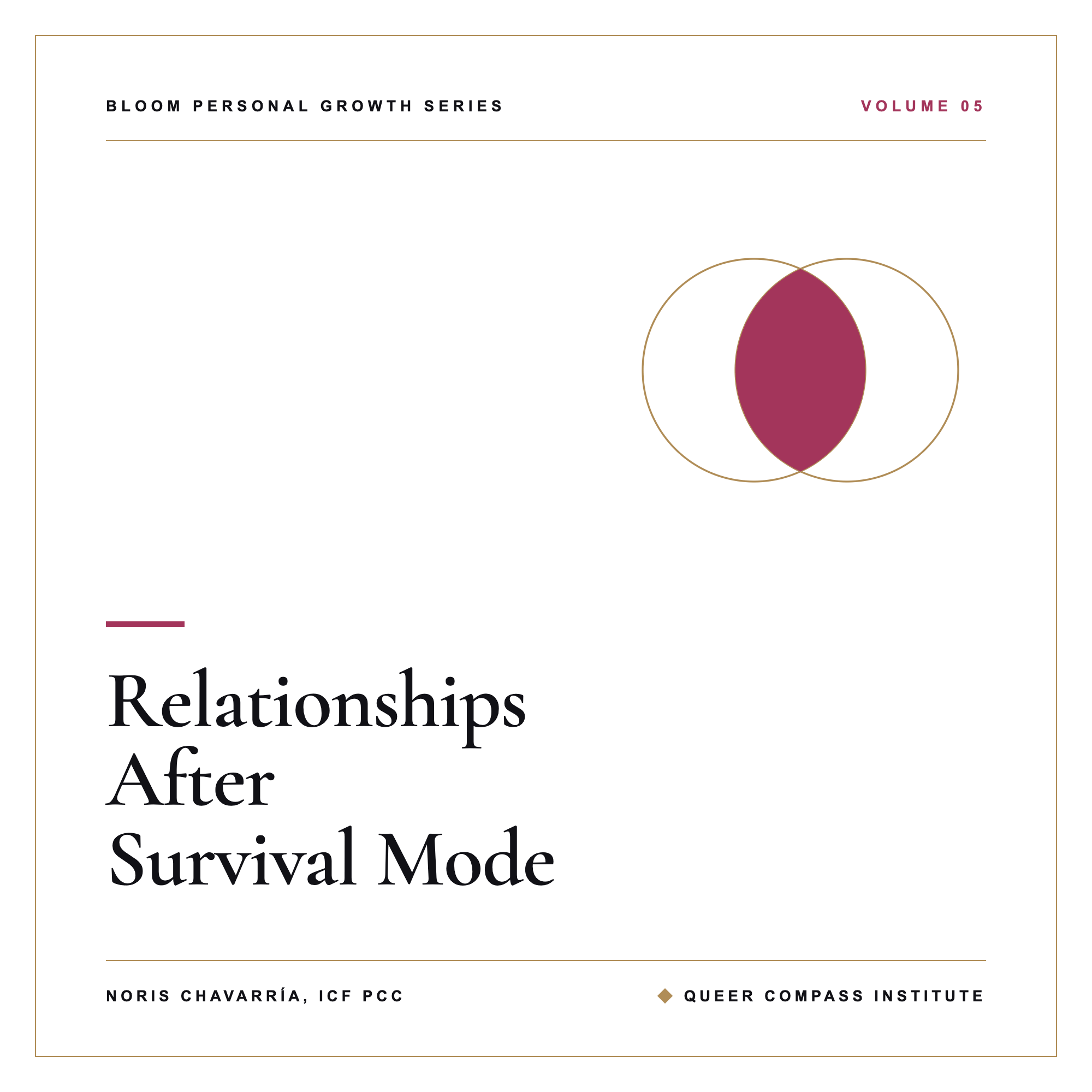 Relationships After Survival Mode cover