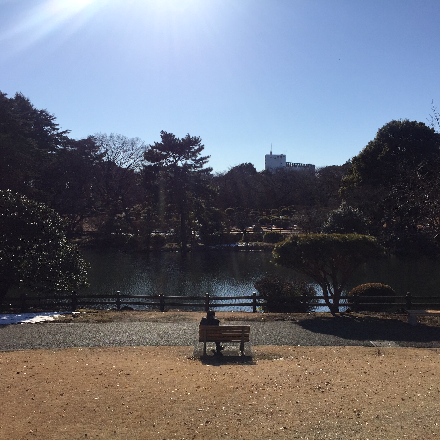 Sole bench warmer on Jan afternoon