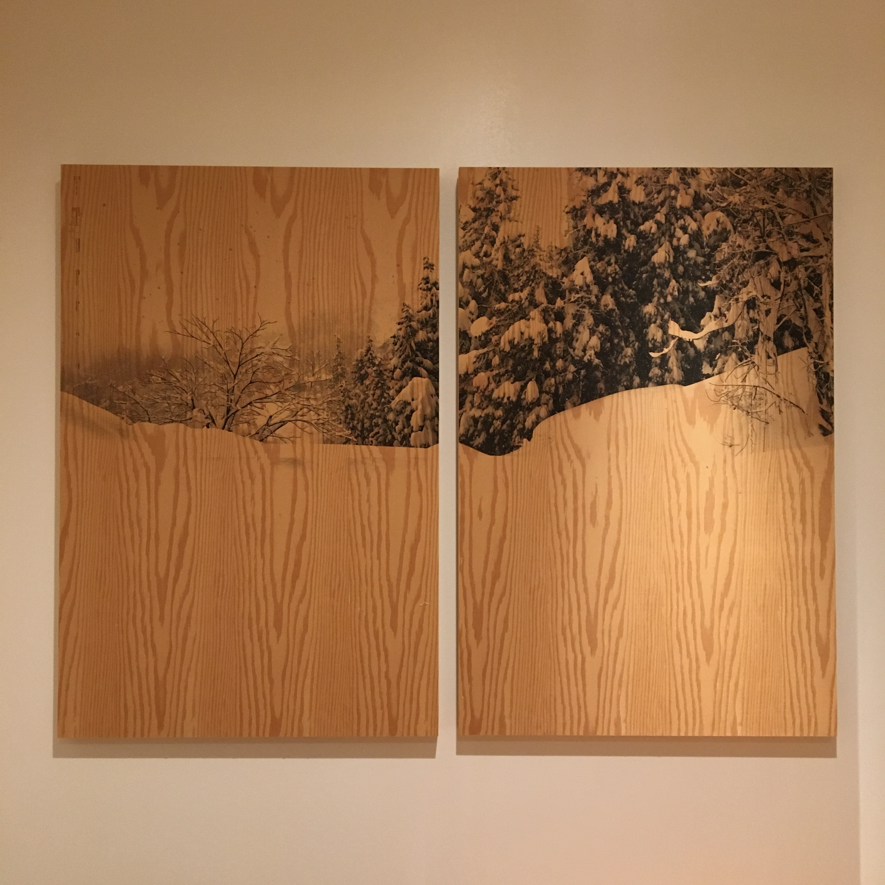 Modern artwork throughout the building