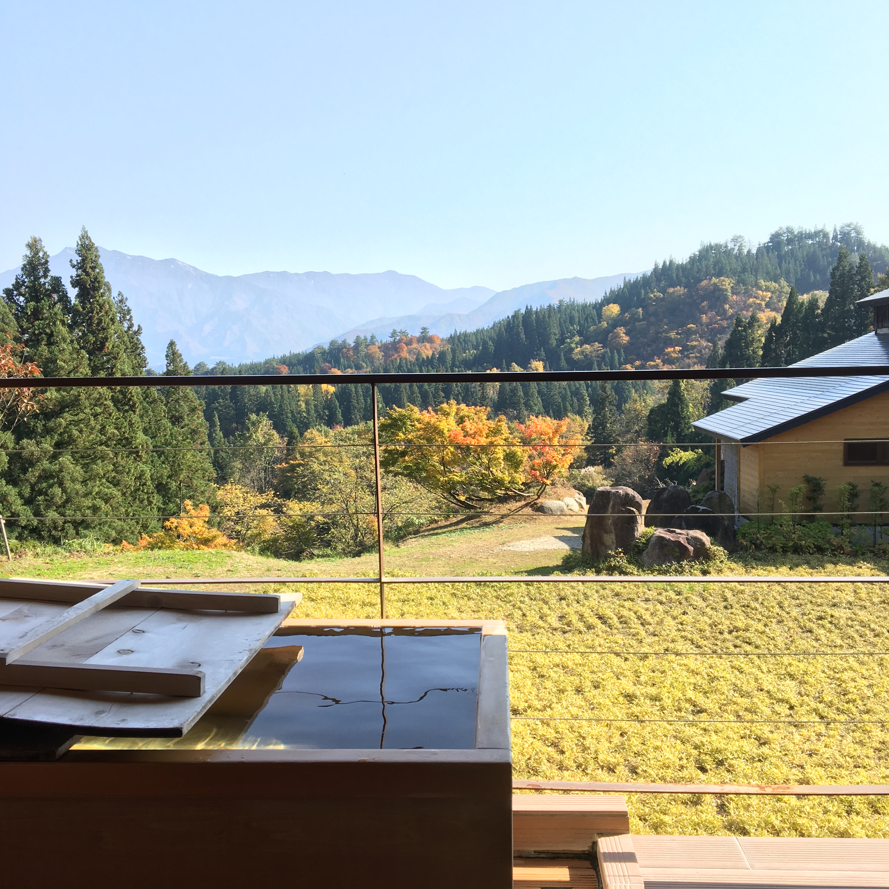 Fall colors from 301 balcony