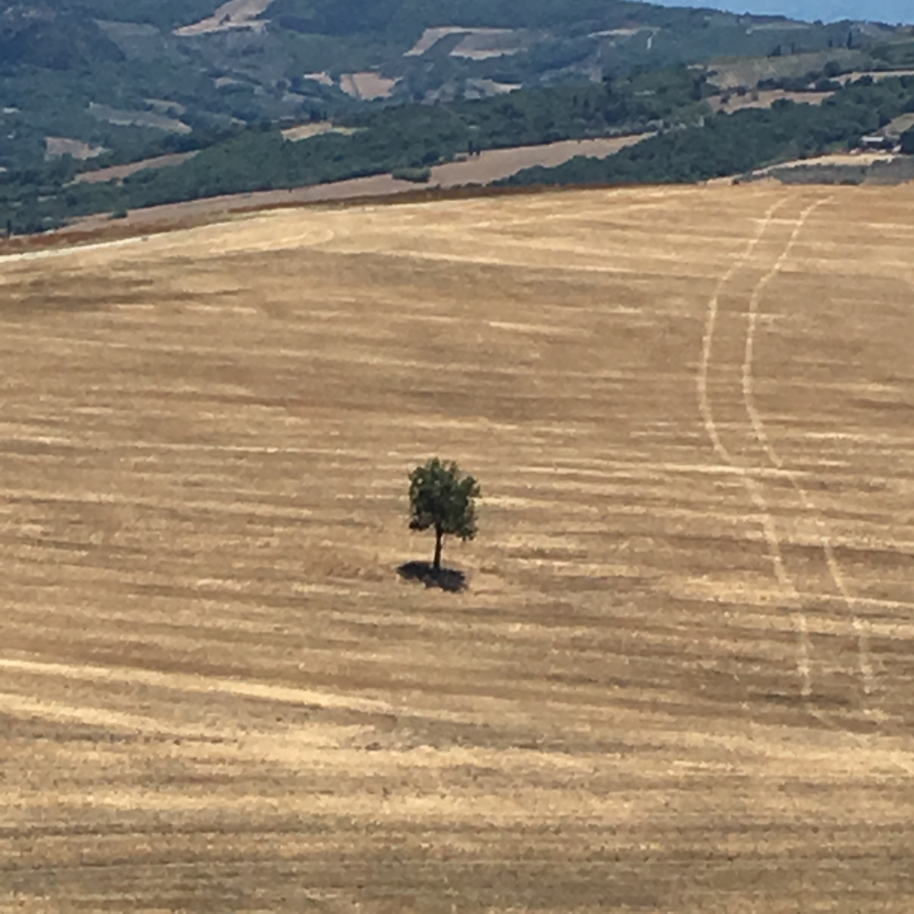 minimalist manifestation on the road to the chapel