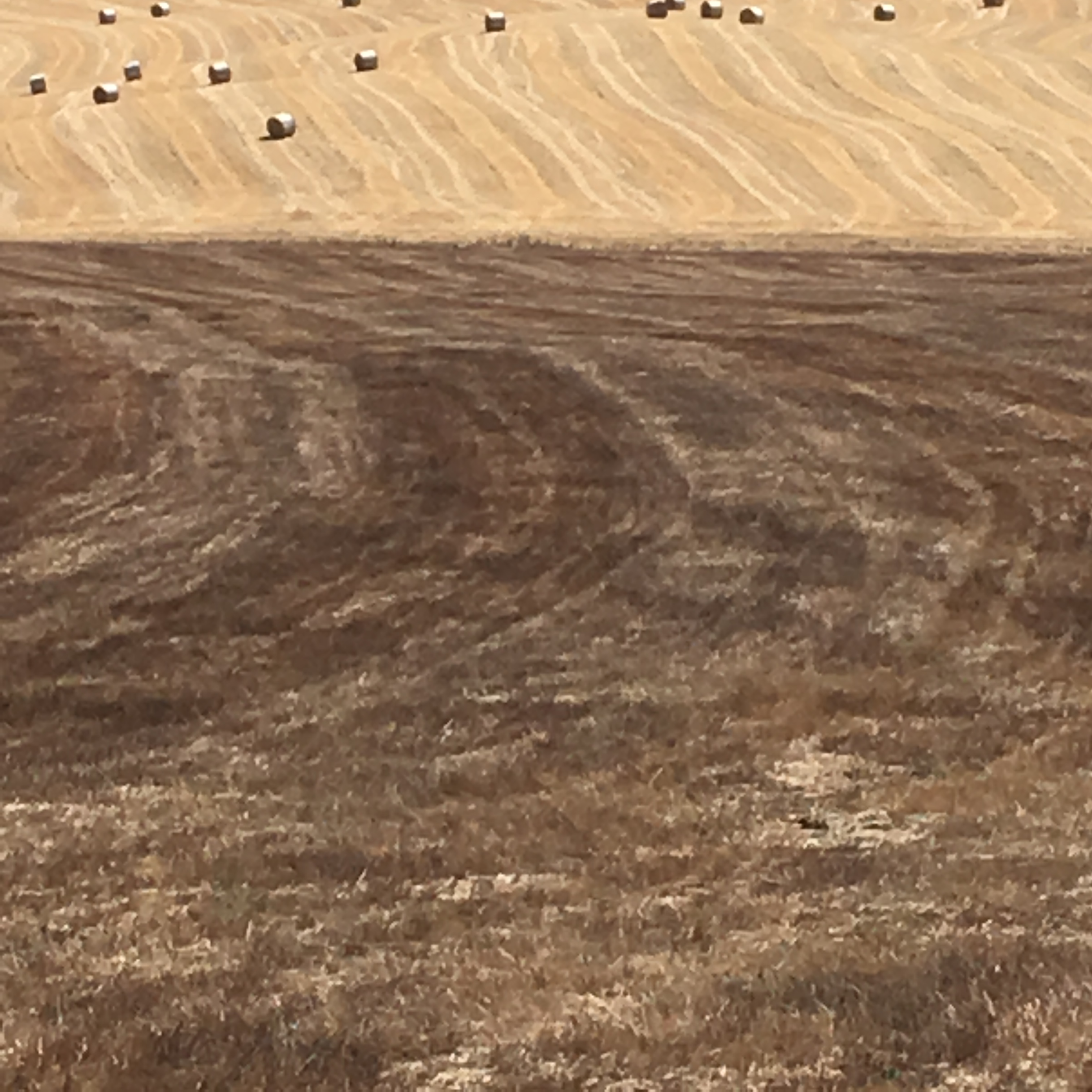 WHeat stubble and open soil create crisscrossing patterns