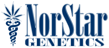 25% indica and 75% sativa. Norstar Genetics Norstar Genetics