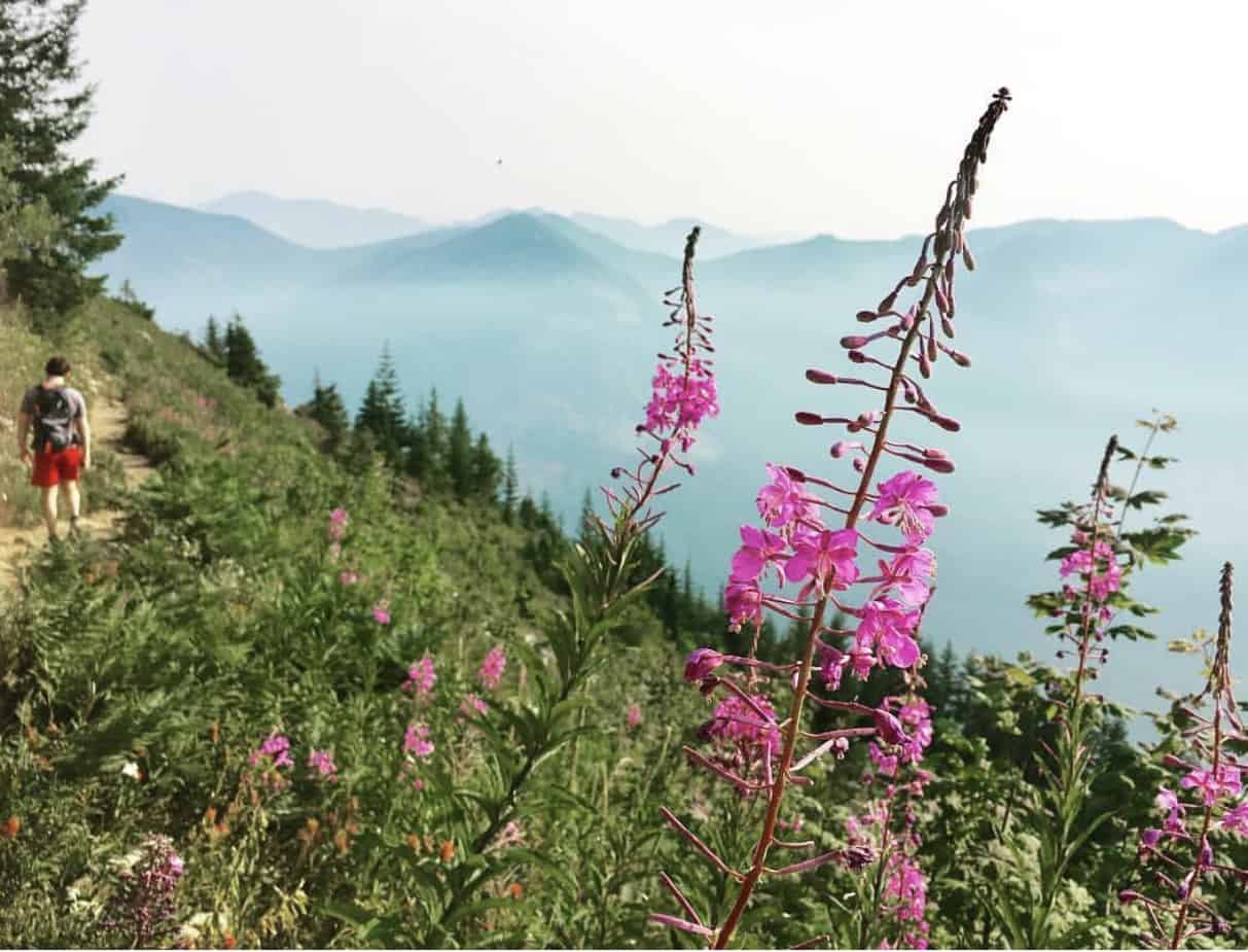 Mt Defiance August