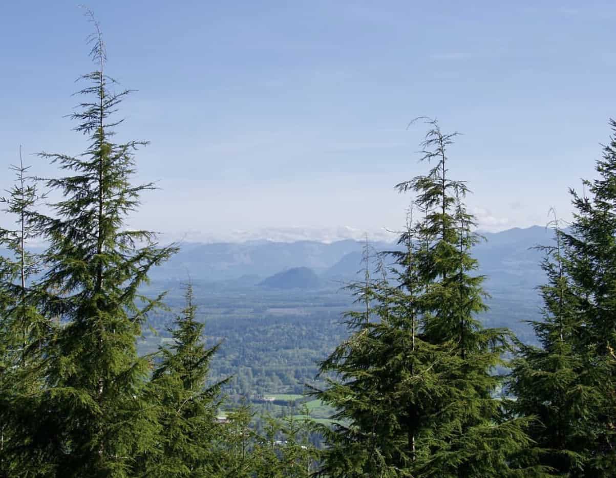 Stan's Overlook View