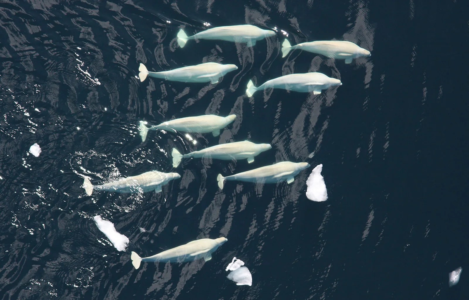 DeepGreen Cook Inlet Data Center