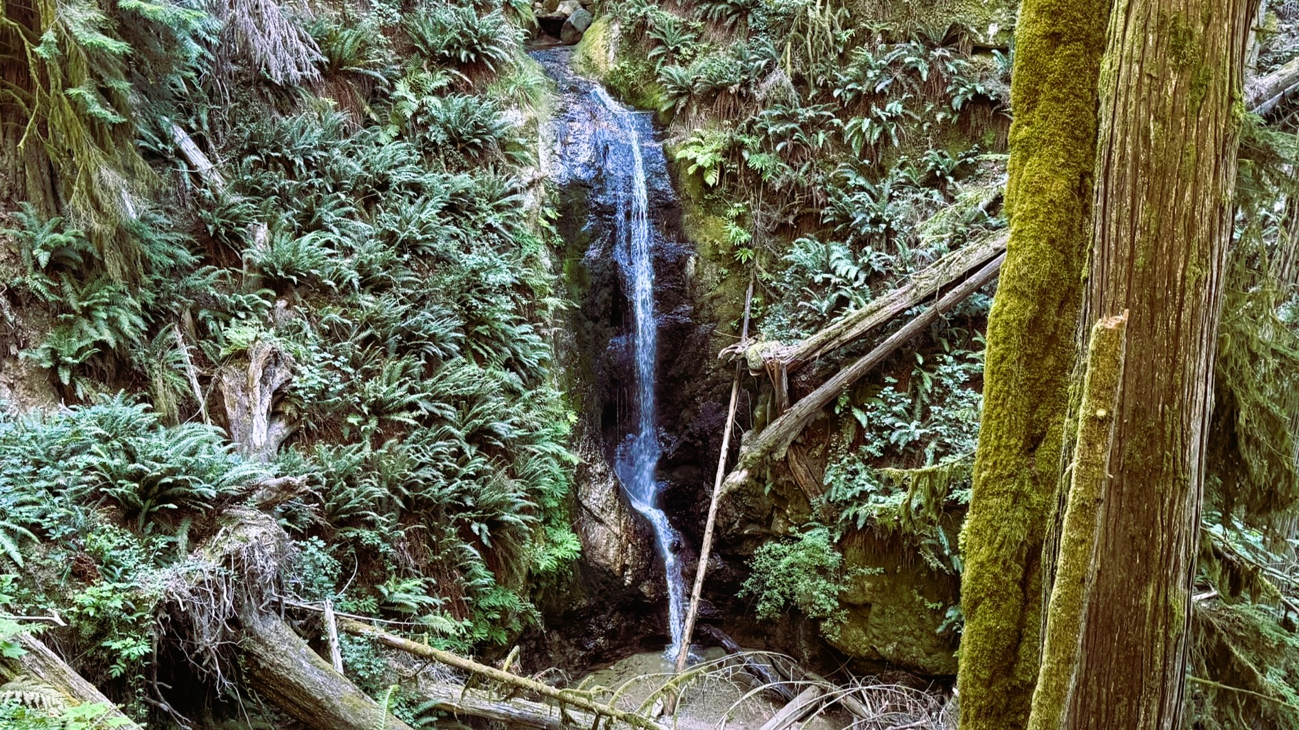 Burnett Falls - Sunshine Coast with Kids