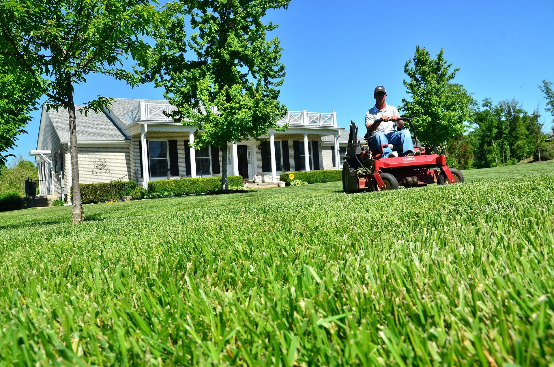 lawn1.webp