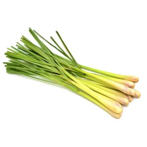 Lemongrass