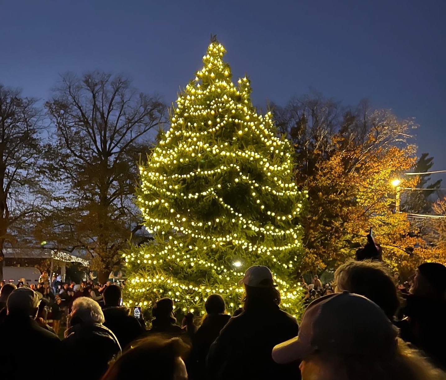 Five tree lighting events across the North Fork