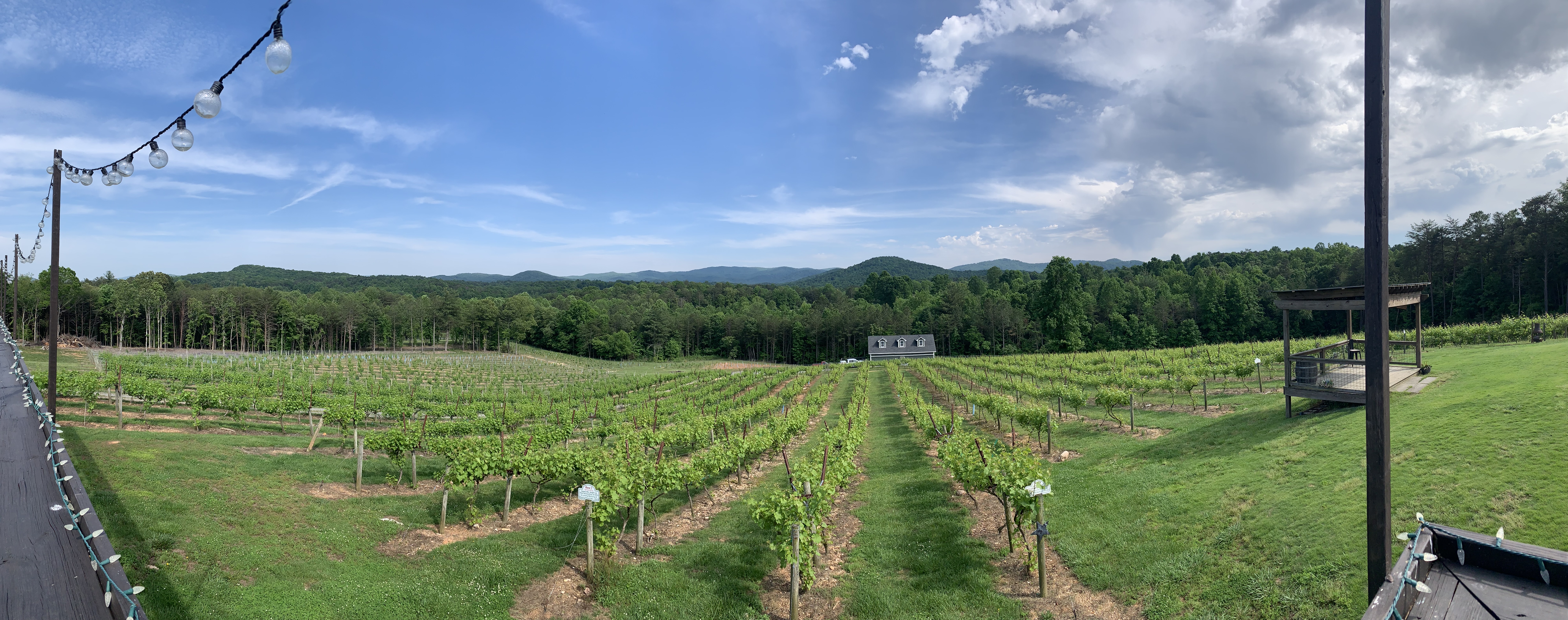 Ott Winery May 2025