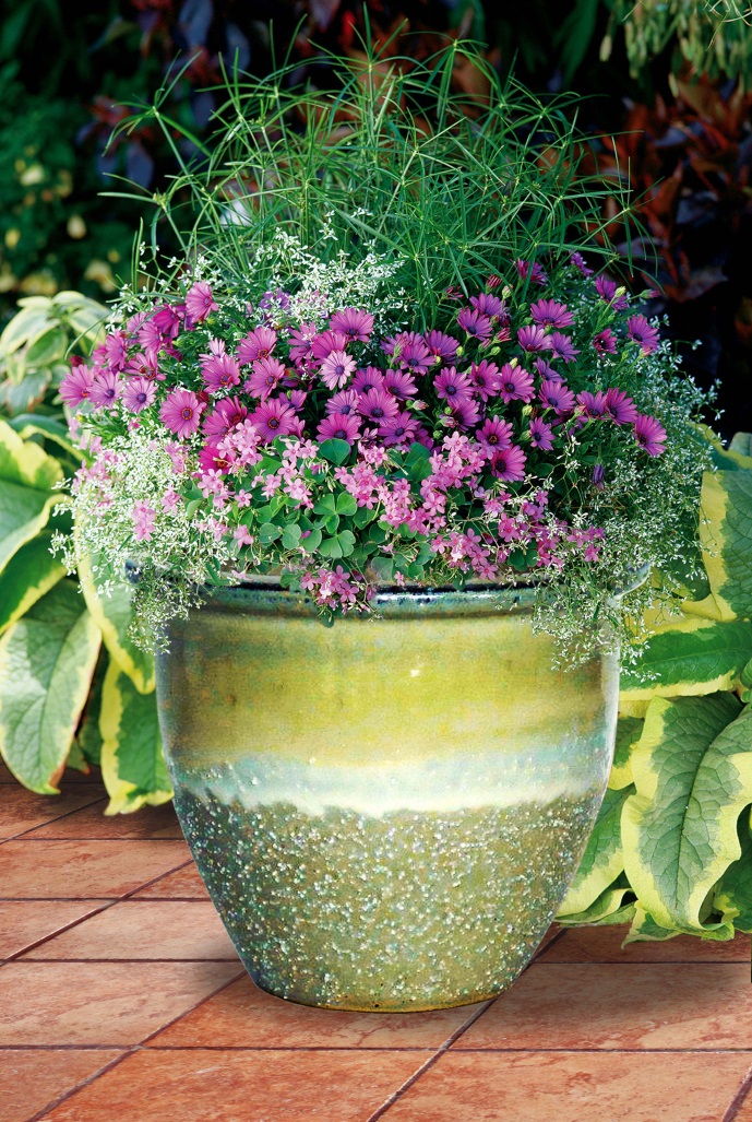 Peninsula Pottery Garden Pot Malaysian Stoneware 