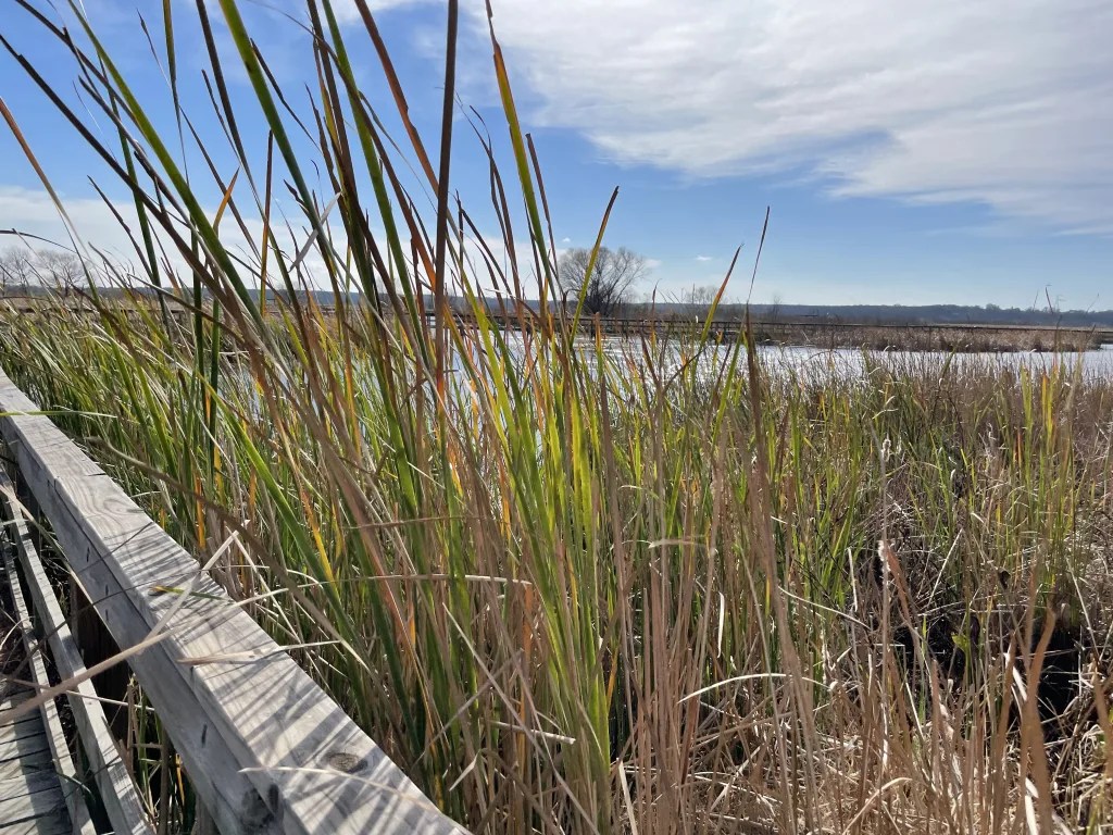 John Bunker Sands Boardwalk