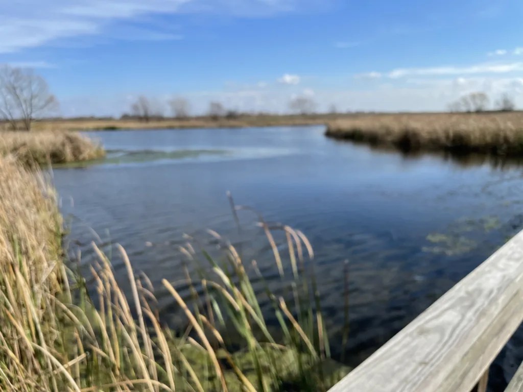 John Bunker Sands Boardwalk