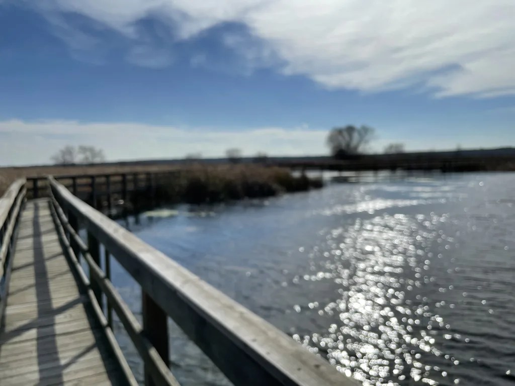 John Bunker Sands Boardwalk