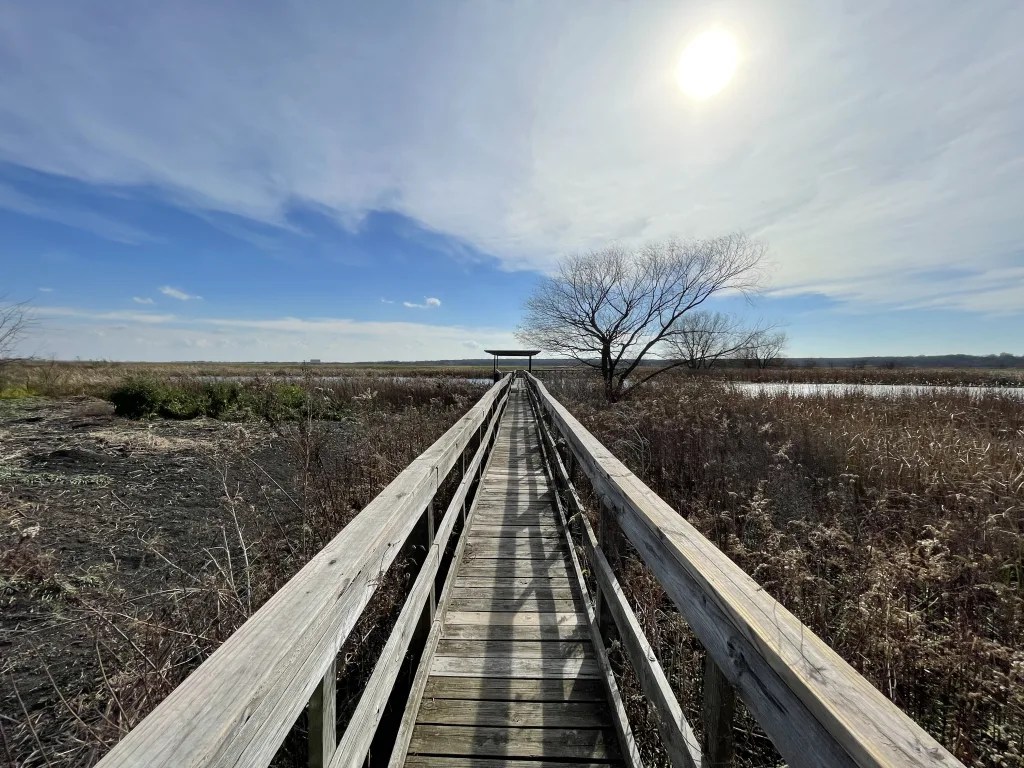 John Bunker Sands Boardwalk