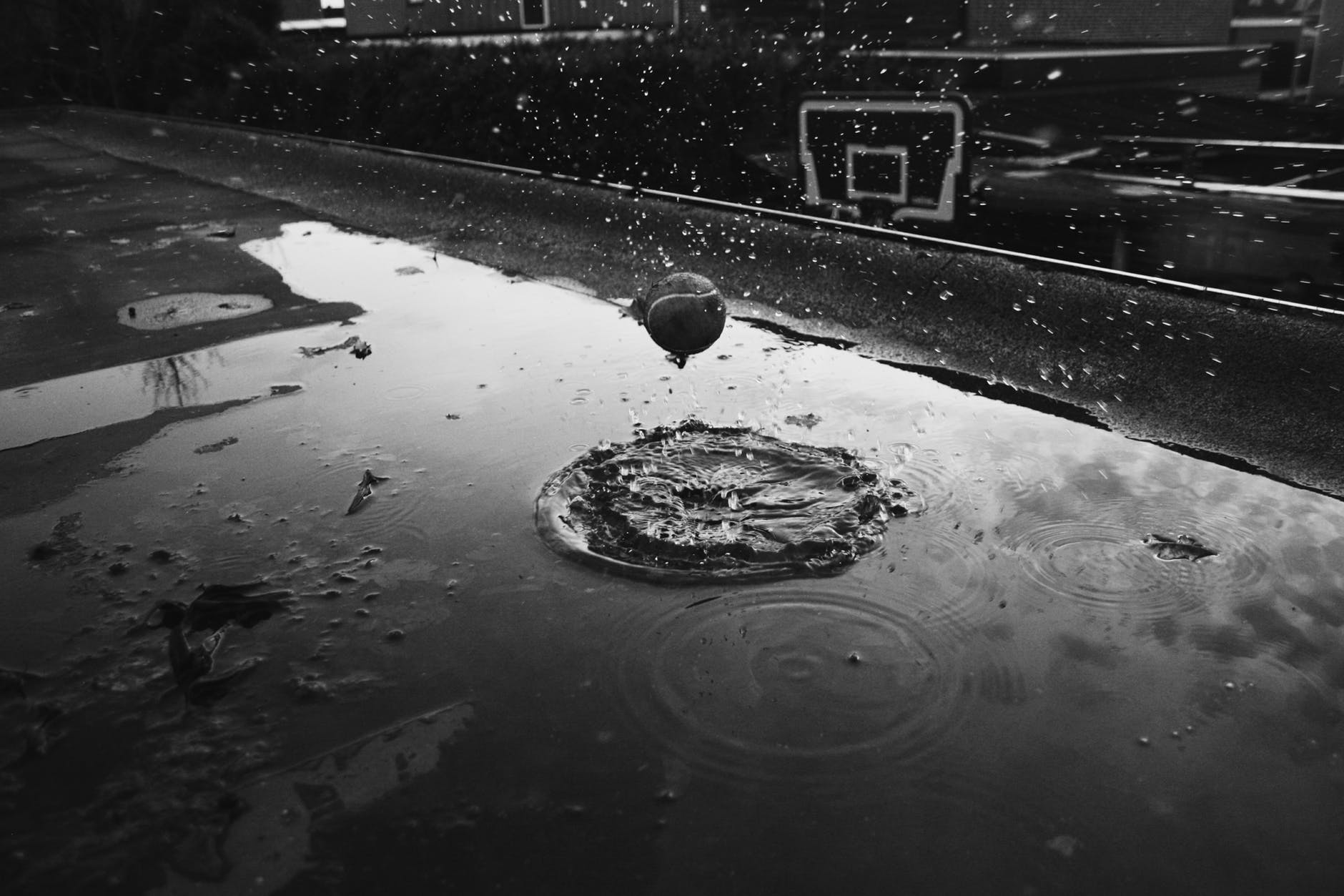 Photo by Joshua Ku00f6ller on Pexels.com