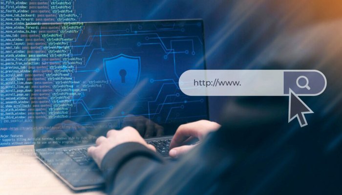 Keep Your Store Safe From the Latest PolyShell Threat