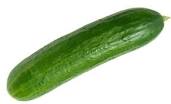cucumber