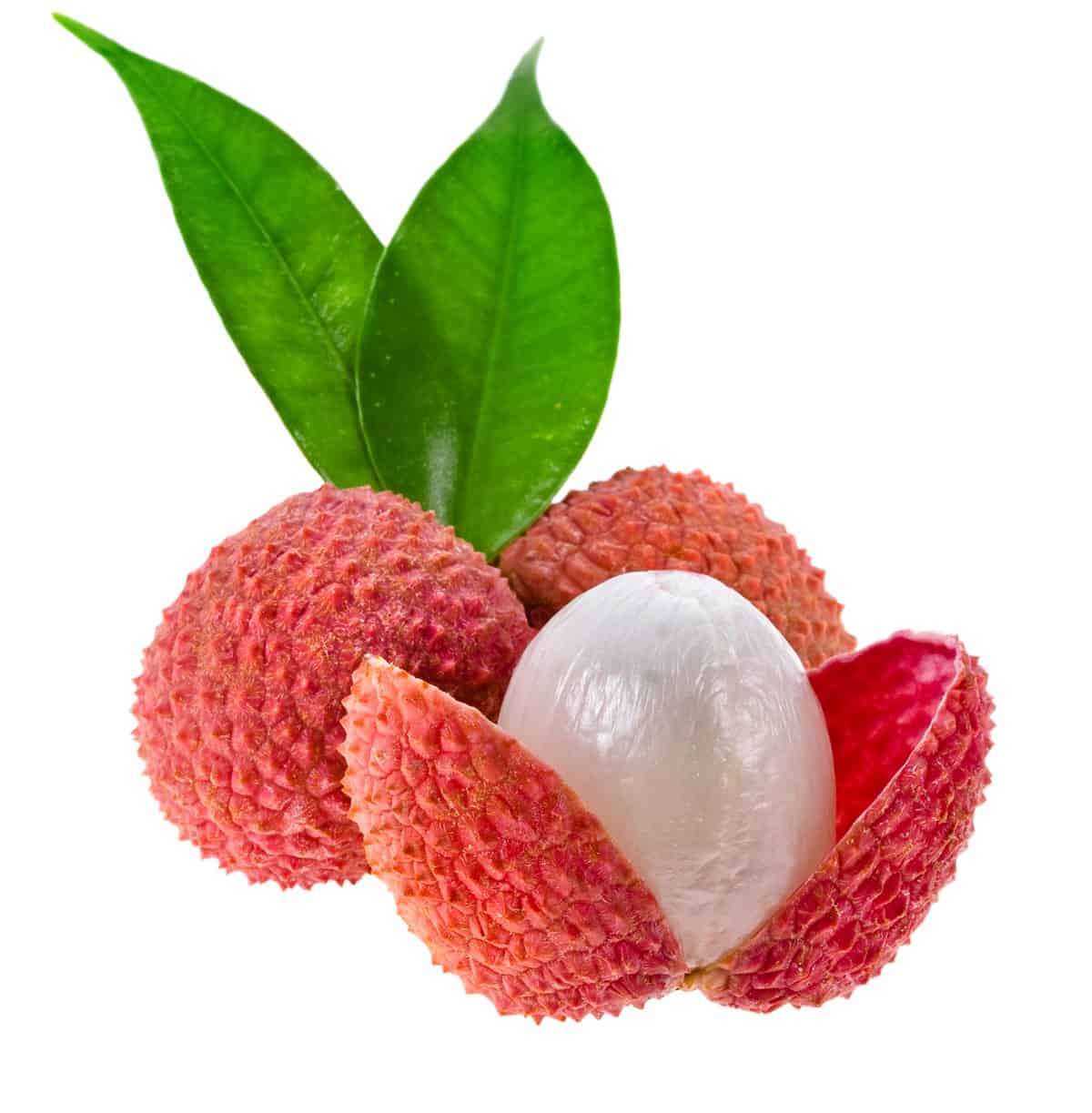 What is lychee fruit? how do i eat it?