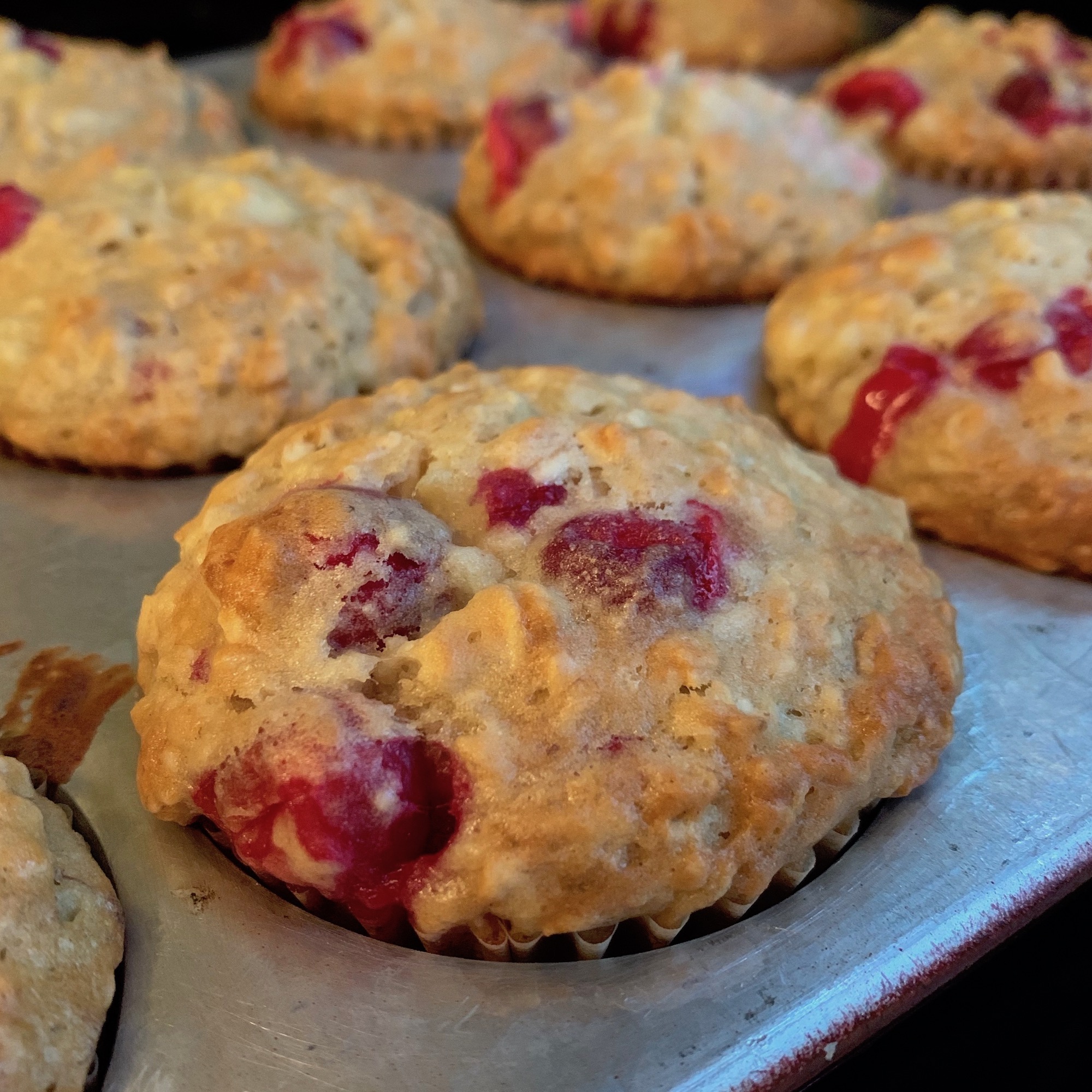 Cranberry Banana Oatmeal Muffins