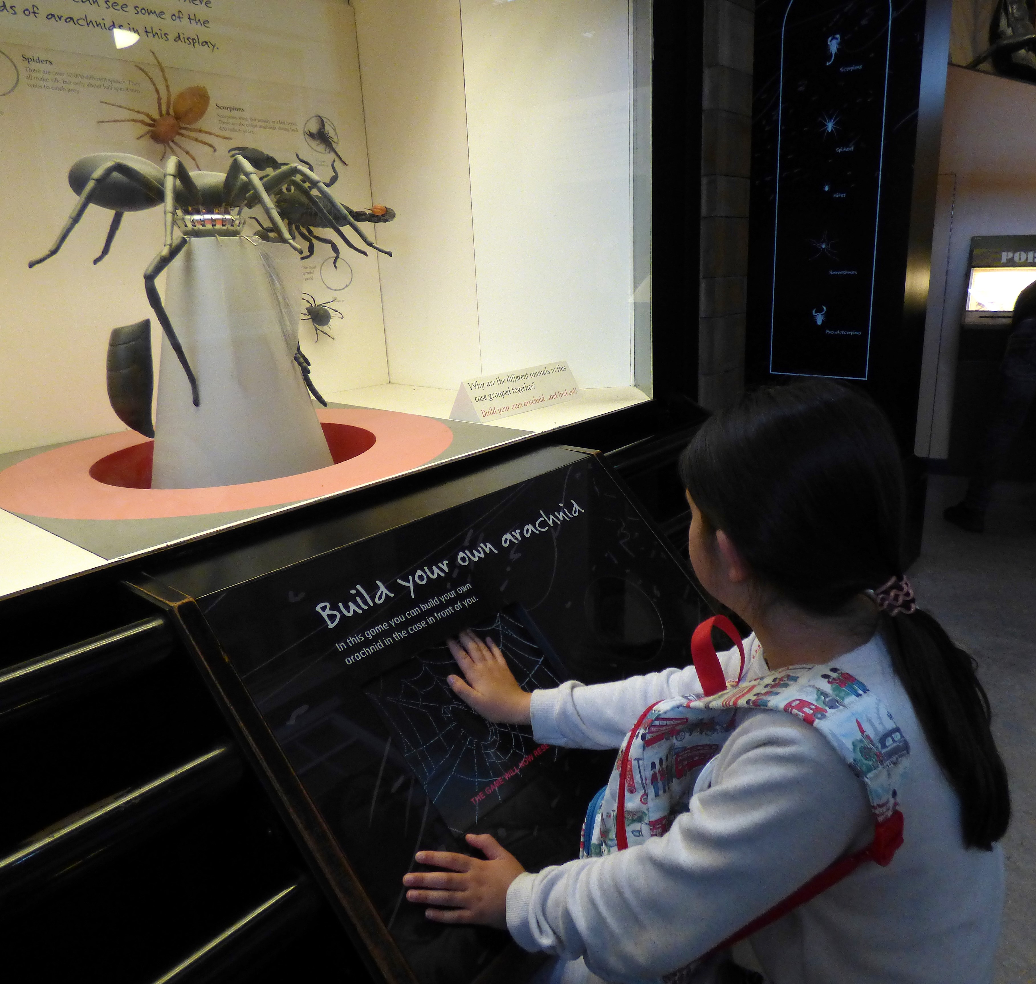 Museo de Historia Natural.