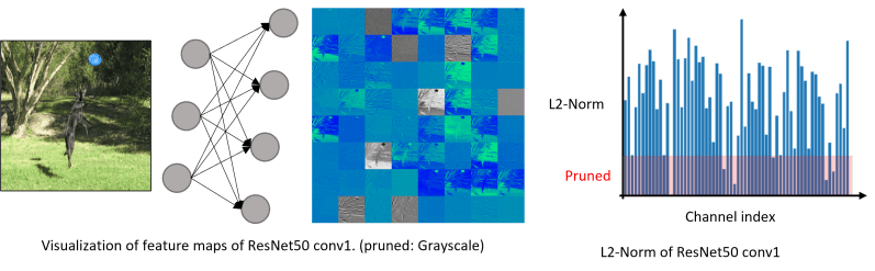 Compression Method Docs For Pynetspresso - Professional Desktop Nature Photos | Free Download