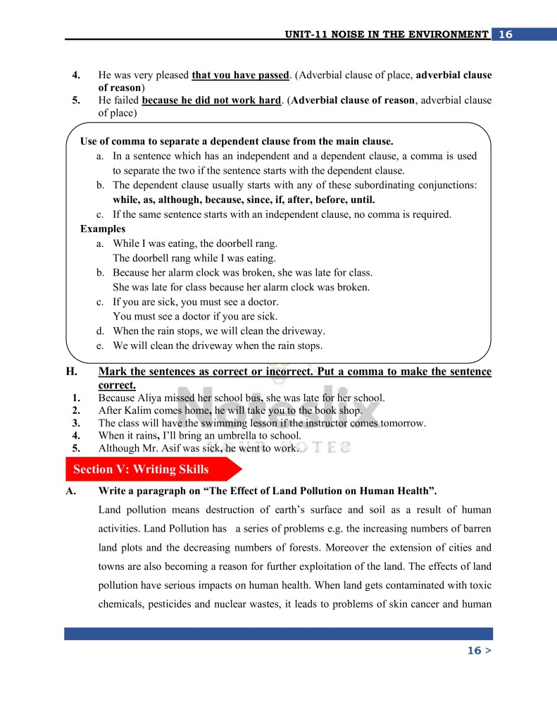 Class 9 English lesson 11 vocabulary and exercises