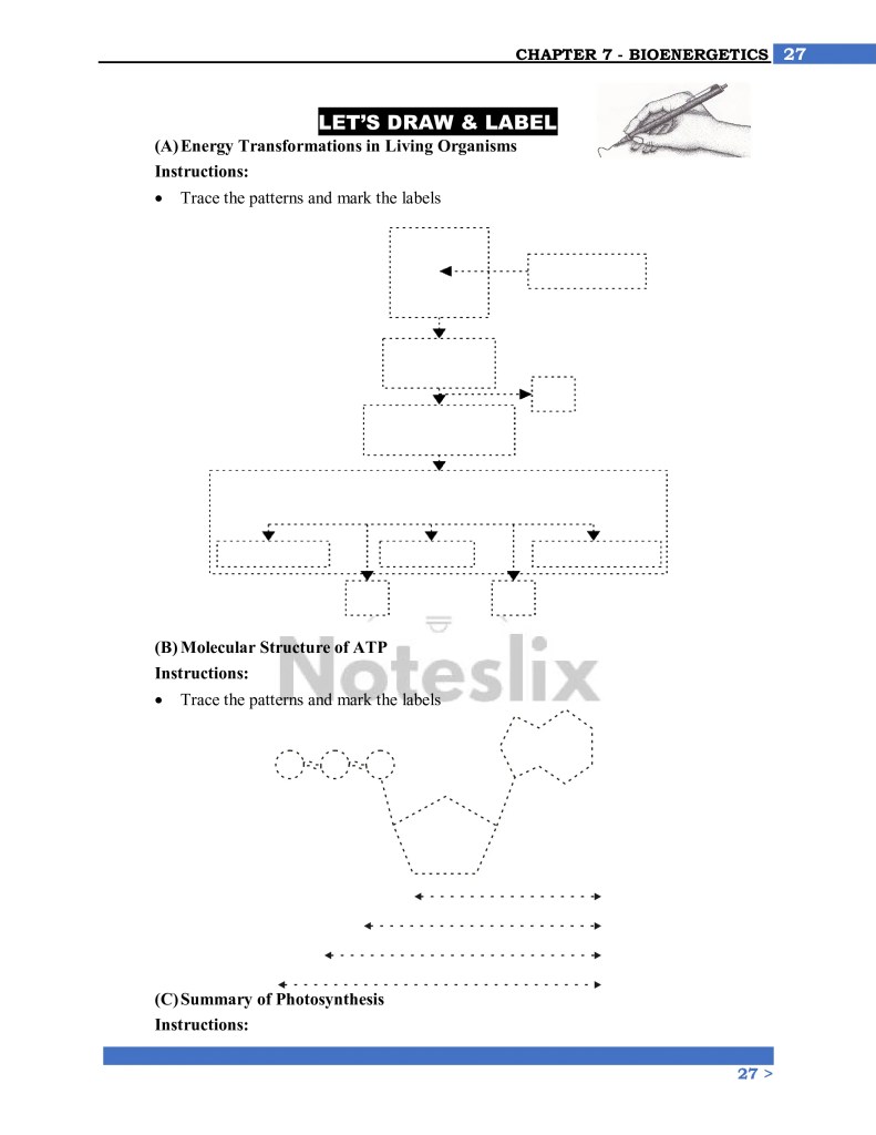 Class 9th Biology Chapter 7 Review Exercise short questions